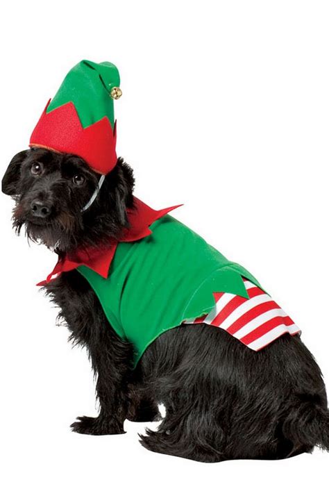 dog elf costume with arms|christmas elf outfits for dogs.